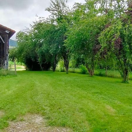 Superbe Demeure Au Coeur Des Pyrenees Ariegeoises Villa Montels  ภายนอก รูปภาพ